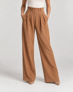 Brown Wide-Leg Pleated Pants - ELLY