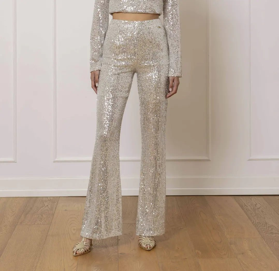 Glamorous Shine Pants - Silver Paillettes - ELLY